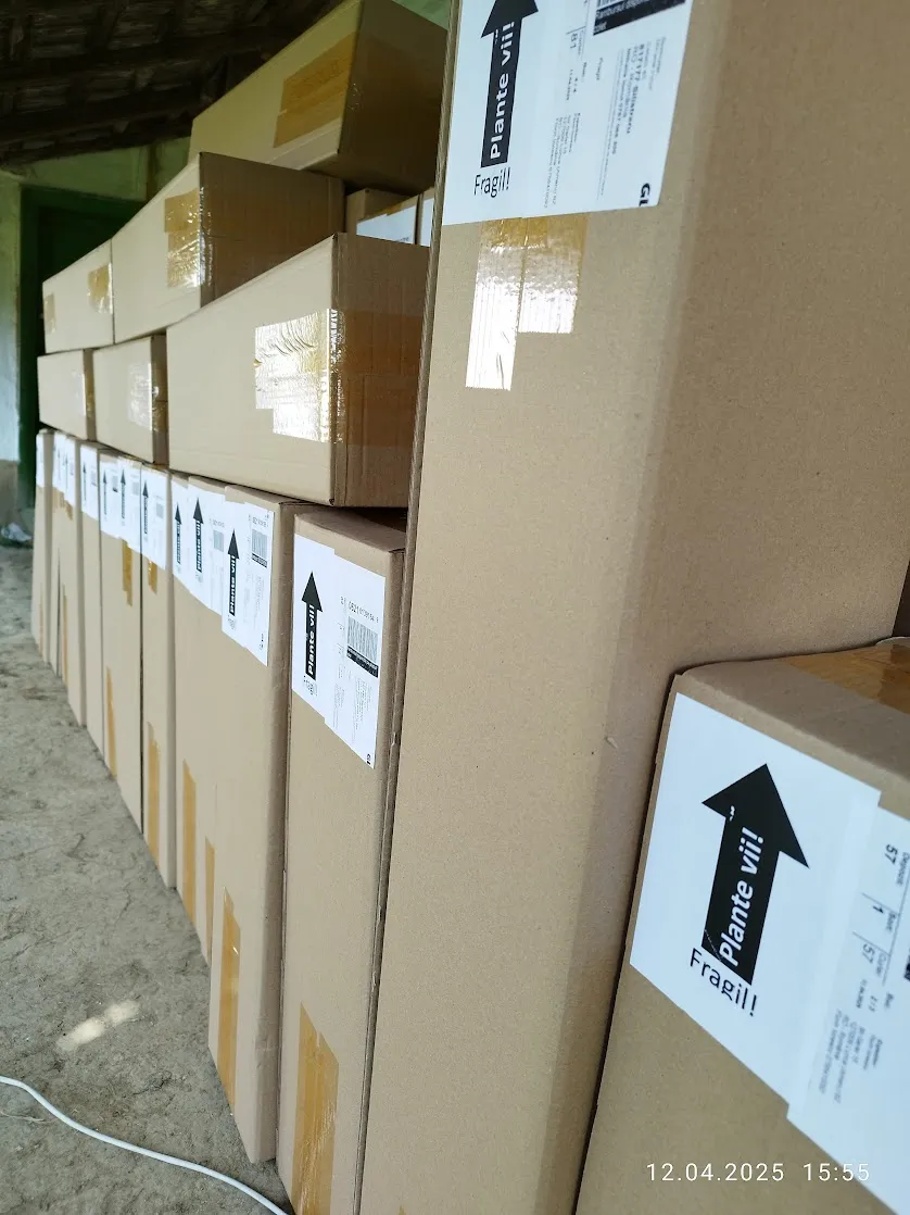 Cum livrăm plantele în cutii carton de 5 straturi