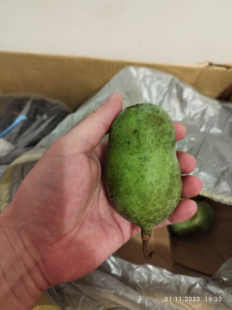 Fruct pawpaw
