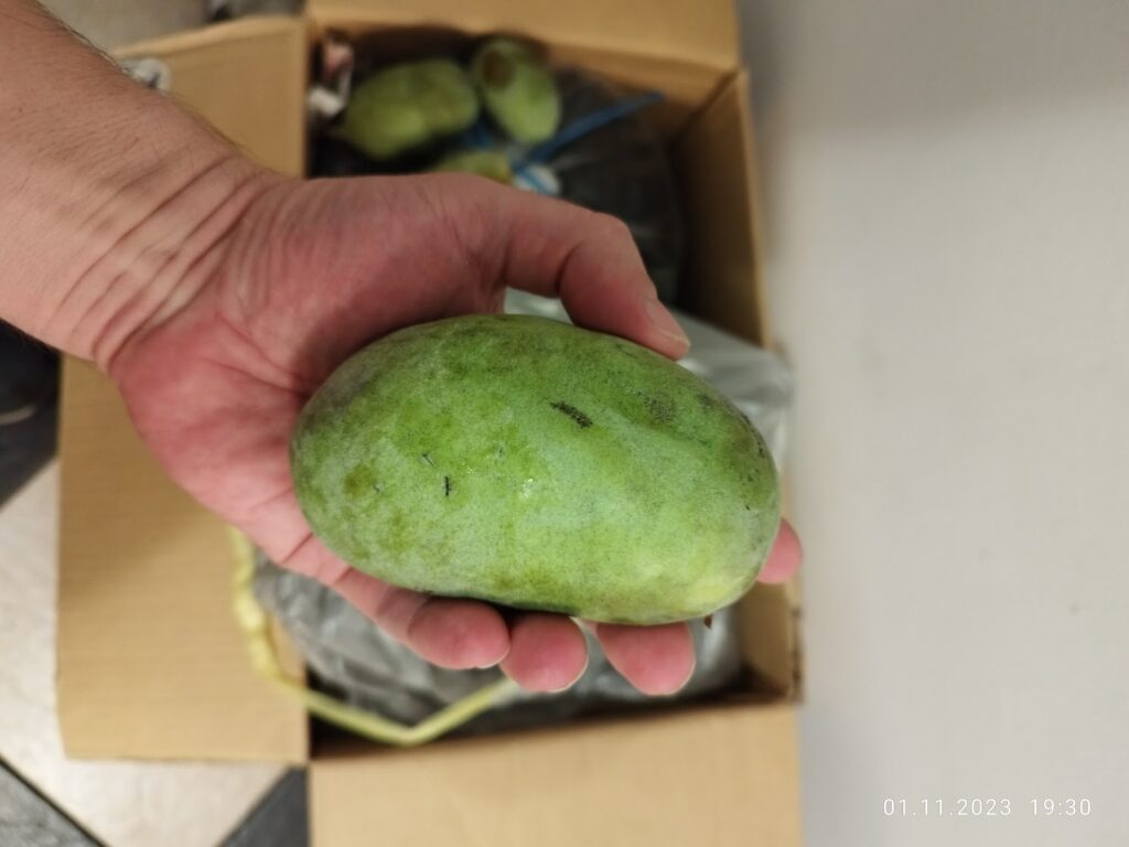Fruct Pawpaw Banana Nordului