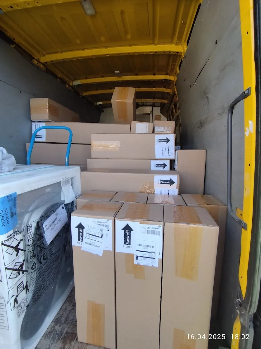 Colet Sameday cu plantă, asigurat pentru transport