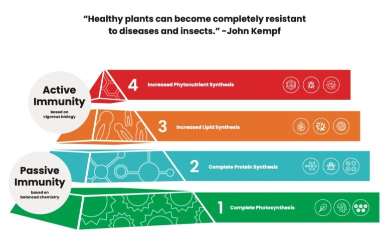 Piramida sanatatii plantelor