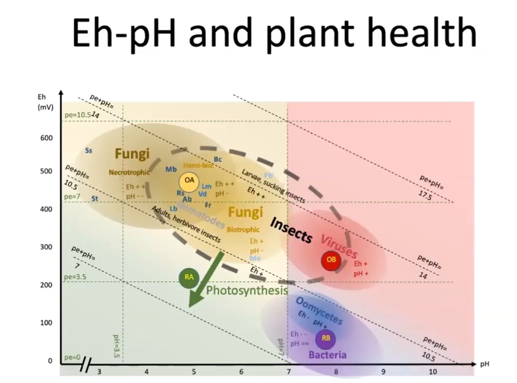 EH PH Redox